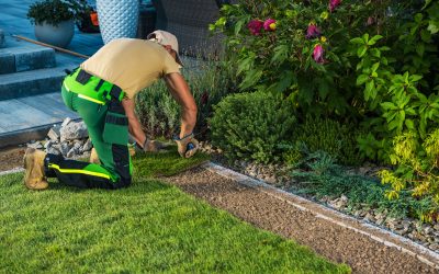 Grass Seed Versus Sod in Junction City KS